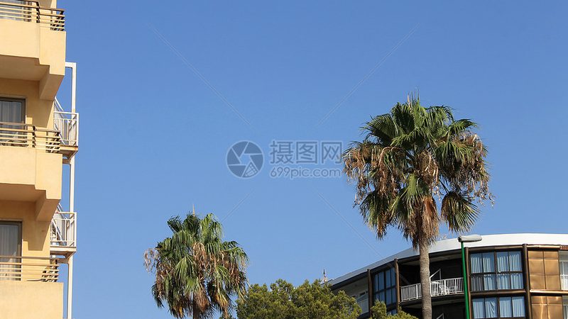 国内游与出境游：性价比背后的考量因素